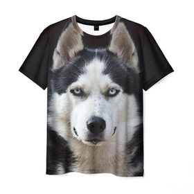 Мужская футболка 3D с принтом Хаски в Курске, 100% полиэфир | прямой крой, круглый вырез горловины, длина до линии бедер | бандит | животное | порода | собака | хаски | хаски бандит