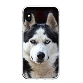 Чехол для iPhone XS Max матовый с принтом Хаски в Курске, Силикон | Область печати: задняя сторона чехла, без боковых панелей | бандит | животное | порода | собака | хаски | хаски бандит