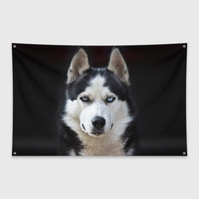 Флаг-баннер с принтом Хаски в Курске, 100% полиэстер | размер 67 х 109 см, плотность ткани — 95 г/м2; по краям флага есть четыре люверса для крепления | бандит | животное | порода | собака | хаски | хаски бандит