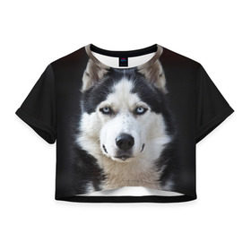 Женская футболка 3D укороченная с принтом Хаски в Курске, 100% полиэстер | круглая горловина, длина футболки до линии талии, рукава с отворотами | бандит | животное | порода | собака | хаски | хаски бандит
