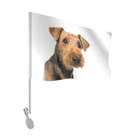 Флаг для автомобиля с принтом Эрдельтерьер в Курске, 100% полиэстер | Размер: 30*21 см | Тематика изображения на принте: животное | порода | собака | эрдельтерьер