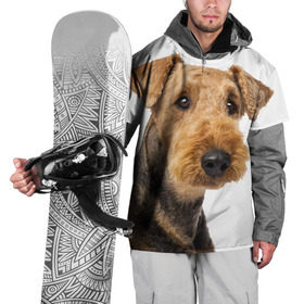 Накидка на куртку 3D с принтом Эрдельтерьер в Курске, 100% полиэстер |  | Тематика изображения на принте: животное | порода | собака | эрдельтерьер