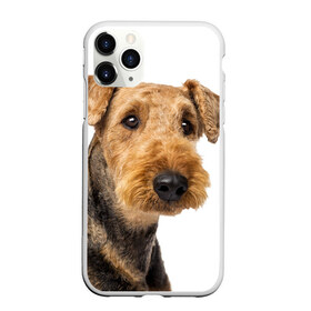 Чехол для iPhone 11 Pro матовый с принтом Эрдельтерьер в Курске, Силикон |  | животное | порода | собака | эрдельтерьер
