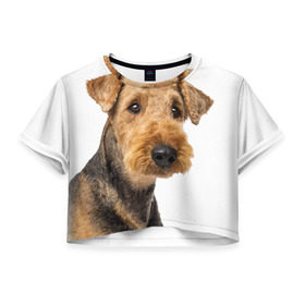 Женская футболка 3D укороченная с принтом Эрдельтерьер в Курске, 100% полиэстер | круглая горловина, длина футболки до линии талии, рукава с отворотами | Тематика изображения на принте: животное | порода | собака | эрдельтерьер