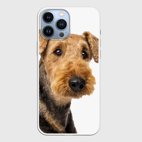 Чехол для iPhone 13 Pro Max с принтом Эрдельтерьер в Курске,  |  | Тематика изображения на принте: животное | порода | собака | эрдельтерьер