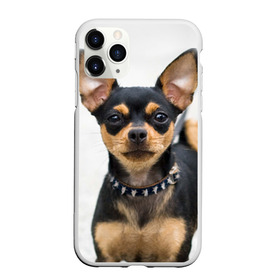 Чехол для iPhone 11 Pro матовый с принтом Чихуахуа в Курске, Силикон |  | Тематика изображения на принте: животное | порода | собака | чихуахуа