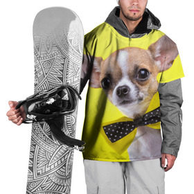 Накидка на куртку 3D с принтом Чихуахуа в Курске, 100% полиэстер |  | Тематика изображения на принте: животное | порода | собака | чихуахуа
