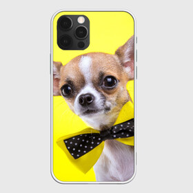 Чехол для iPhone 12 Pro Max с принтом Чихуахуа в Курске, Силикон |  | Тематика изображения на принте: животное | порода | собака | чихуахуа