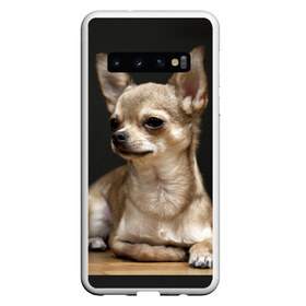 Чехол для Samsung Galaxy S10 с принтом Чихуахуа в Курске, Силикон | Область печати: задняя сторона чехла, без боковых панелей | Тематика изображения на принте: животное | порода | собака | чихуахуа
