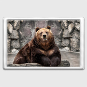 Магнит 45*70 с принтом Русский медведь в Курске, Пластик | Размер: 78*52 мм; Размер печати: 70*45 | Тематика изображения на принте: медведь | россия | русский | русский медведь