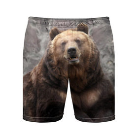 Мужские шорты 3D спортивные с принтом Русский медведь в Курске,  |  | медведь | россия | русский | русский медведь