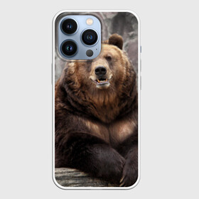 Чехол для iPhone 13 Pro с принтом Русский медведь в Курске,  |  | медведь | россия | русский | русский медведь