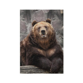 Обложка для паспорта матовая кожа с принтом Русский медведь в Курске, натуральная матовая кожа | размер 19,3 х 13,7 см; прозрачные пластиковые крепления | медведь | россия | русский | русский медведь
