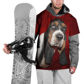 Накидка на куртку 3D с принтом Бассет-хаунд в Курске, 100% полиэстер |  | бархат | бассет хаунд | взгляд | домашнее | животное | порода | собака | уши