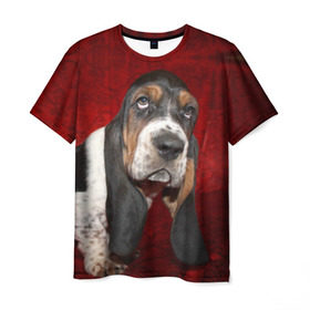 Мужская футболка 3D с принтом Бассет-хаунд в Курске, 100% полиэфир | прямой крой, круглый вырез горловины, длина до линии бедер | бархат | бассет хаунд | взгляд | домашнее | животное | порода | собака | уши