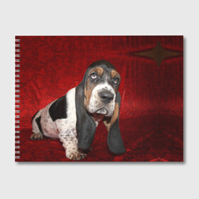 Альбом для рисования с принтом Бассет-хаунд в Курске, 100% бумага
 | матовая бумага, плотность 200 мг. | Тематика изображения на принте: бархат | бассет хаунд | взгляд | домашнее | животное | порода | собака | уши
