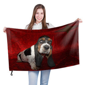 Флаг 3D с принтом Бассет-хаунд в Курске, 100% полиэстер | плотность ткани — 95 г/м2, размер — 67 х 109 см. Принт наносится с одной стороны | Тематика изображения на принте: бархат | бассет хаунд | взгляд | домашнее | животное | порода | собака | уши