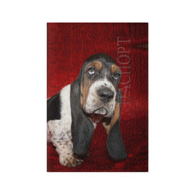 Обложка для паспорта матовая кожа с принтом Бассет-хаунд в Курске, натуральная матовая кожа | размер 19,3 х 13,7 см; прозрачные пластиковые крепления | бархат | бассет хаунд | взгляд | домашнее | животное | порода | собака | уши