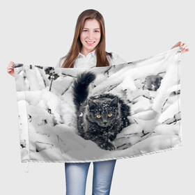 Флаг 3D с принтом Кот в снегу в Курске, 100% полиэстер | плотность ткани — 95 г/м2, размер — 67 х 109 см. Принт наносится с одной стороны | ветки | дикий | домашнее | животное | зима | кот | котэ | кошка | снег | сугробы