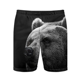 Мужские шорты 3D спортивные с принтом Медведь в Курске,  |  | бурый | дикий | животное | медведь | россия | символ | тайги | фото | хищник | хозяин | черно белое