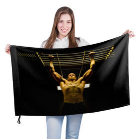 Флаг 3D с принтом Джейсон Стэйтем в Курске, 100% полиэстер | плотность ткани — 95 г/м2, размер — 67 х 109 см. Принт наносится с одной стороны | Тематика изображения на принте: jason statham | актёр | английский | джейсон стэйтем