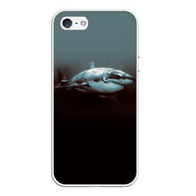 Чехол для iPhone 5/5S матовый с принтом Акула в Курске, Силикон | Область печати: задняя сторона чехла, без боковых панелей | акула | море | хищник
