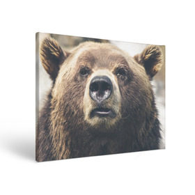 Холст прямоугольный с принтом Русский медведь в Курске, 100% ПВХ |  | медведь | россия | русский | символ | ссср