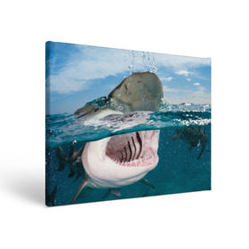 Холст прямоугольный с принтом Хищная акула в Курске, 100% ПВХ |  | акула | море | океан | природа | хищник