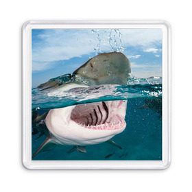 Магнит 55*55 с принтом Хищная акула в Курске, Пластик | Размер: 65*65 мм; Размер печати: 55*55 мм | акула | море | океан | природа | хищник