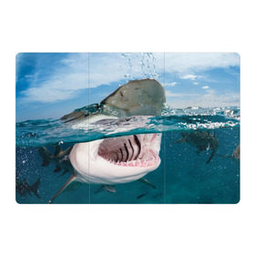 Магнитный плакат 3Х2 с принтом Хищная акула в Курске, Полимерный материал с магнитным слоем | 6 деталей размером 9*9 см | Тематика изображения на принте: акула | море | океан | природа | хищник