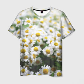 Мужская футболка 3D с принтом Полевые ромашки в Курске, 100% полиэфир | прямой крой, круглый вырез горловины, длина до линии бедер | природа | ромашка | цветок | цветы