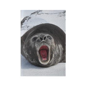 Обложка для паспорта матовая кожа с принтом Морской тюлень в Курске, натуральная матовая кожа | размер 19,3 х 13,7 см; прозрачные пластиковые крепления | животное | зима | море | океан | снег | тюлень