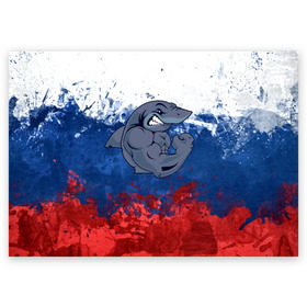 Поздравительная открытка с принтом Акула в Курске, 100% бумага | плотность бумаги 280 г/м2, матовая, на обратной стороне линовка и место для марки
 | плавание | россия | русский | спорт