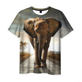 Мужская футболка 3D с принтом Дикий слон в Курске, 100% полиэфир | прямой крой, круглый вырез горловины, длина до линии бедер | Тематика изображения на принте: слон