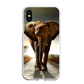 Чехол для iPhone XS Max матовый с принтом Дикий слон в Курске, Силикон | Область печати: задняя сторона чехла, без боковых панелей | Тематика изображения на принте: слон
