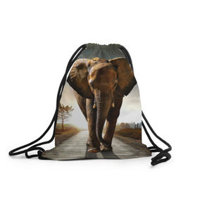 Рюкзак-мешок 3D с принтом Дикий слон в Курске, 100% полиэстер | плотность ткани — 200 г/м2, размер — 35 х 45 см; лямки — толстые шнурки, застежка на шнуровке, без карманов и подкладки | слон