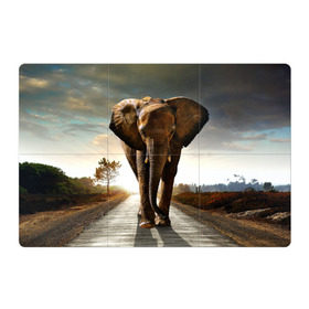 Магнитный плакат 3Х2 с принтом Дикий слон в Курске, Полимерный материал с магнитным слоем | 6 деталей размером 9*9 см | слон