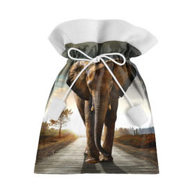 Подарочный 3D мешок с принтом Дикий слон в Курске, 100% полиэстер | Размер: 29*39 см | слон