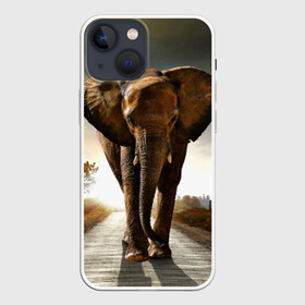 Чехол для iPhone 13 mini с принтом Дикий слон в Курске,  |  | слон