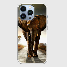 Чехол для iPhone 13 Pro с принтом Дикий слон в Курске,  |  | слон