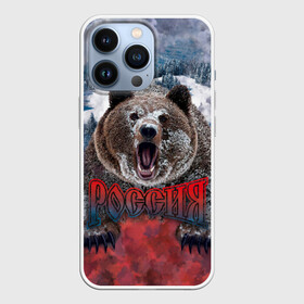 Чехол для iPhone 13 Pro с принтом Русский медведь в Курске,  |  | медведь | патриот | россия | русский медведь