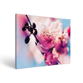 Холст прямоугольный с принтом Цветущая вишня в Курске, 100% ПВХ |  | Тематика изображения на принте: вишня | дерево | небо | природа | черешня | ягода