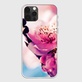 Чехол для iPhone 12 Pro Max с принтом Цветущая вишня в Курске, Силикон |  | Тематика изображения на принте: вишня | дерево | небо | природа | черешня | ягода
