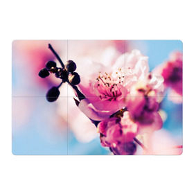 Магнитный плакат 3Х2 с принтом Цветущая вишня в Курске, Полимерный материал с магнитным слоем | 6 деталей размером 9*9 см | вишня | дерево | небо | природа | черешня | ягода