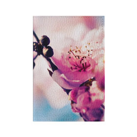 Обложка для паспорта матовая кожа с принтом Цветущая вишня в Курске, натуральная матовая кожа | размер 19,3 х 13,7 см; прозрачные пластиковые крепления | вишня | дерево | небо | природа | черешня | ягода