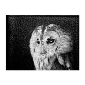 Обложка для студенческого билета с принтом Сова в Курске, натуральная кожа | Размер: 11*8 см; Печать на всей внешней стороне | ночь | ночьная | птица | сова | фото | хищник | черно белое