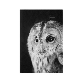 Обложка для паспорта матовая кожа с принтом Сова в Курске, натуральная матовая кожа | размер 19,3 х 13,7 см; прозрачные пластиковые крепления | ночь | ночьная | птица | сова | фото | хищник | черно белое
