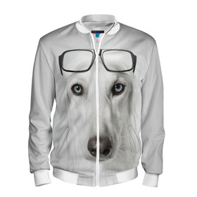 Мужской бомбер 3D с принтом Собака в очках в Курске, 100% полиэстер | застегивается на молнию, по бокам два кармана без застежек, по низу бомбера и на воротнике - эластичная резинка | афганская | белая | борзая | в очках | животное | очки | прикол | собака