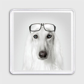 Магнит 55*55 с принтом Собака в очках в Курске, Пластик | Размер: 65*65 мм; Размер печати: 55*55 мм | афганская | белая | борзая | в очках | животное | очки | прикол | собака
