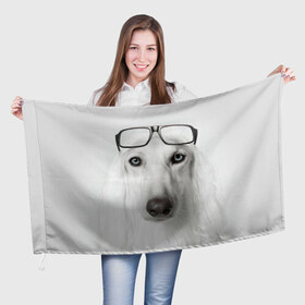 Флаг 3D с принтом Собака в очках в Курске, 100% полиэстер | плотность ткани — 95 г/м2, размер — 67 х 109 см. Принт наносится с одной стороны | афганская | белая | борзая | в очках | животное | очки | прикол | собака